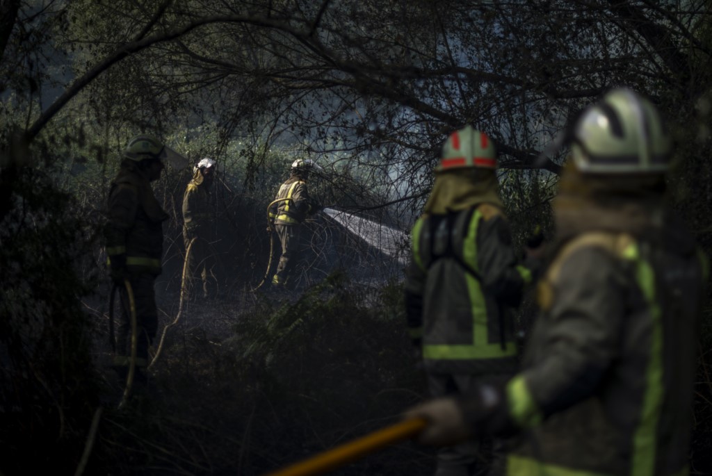 Recibidas 685 solicitudes para optar a las ayudas para la reparación de los daños causados por los incendios de julio por un importe de más de 4,7 M€