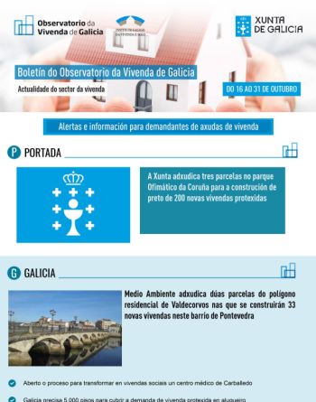 Boletín do 16 ao 31 de outubro de 2020