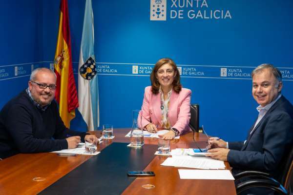 A Xunta licitará nos vindeiros meses a rehabilitación de catro dos inmobles adquiridos en Ribadavia no marco do Programa Rexurbe